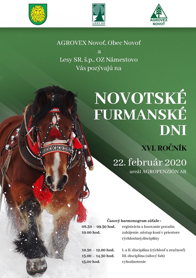 Novotsk furmansk dni v 2020 - 16. ronk