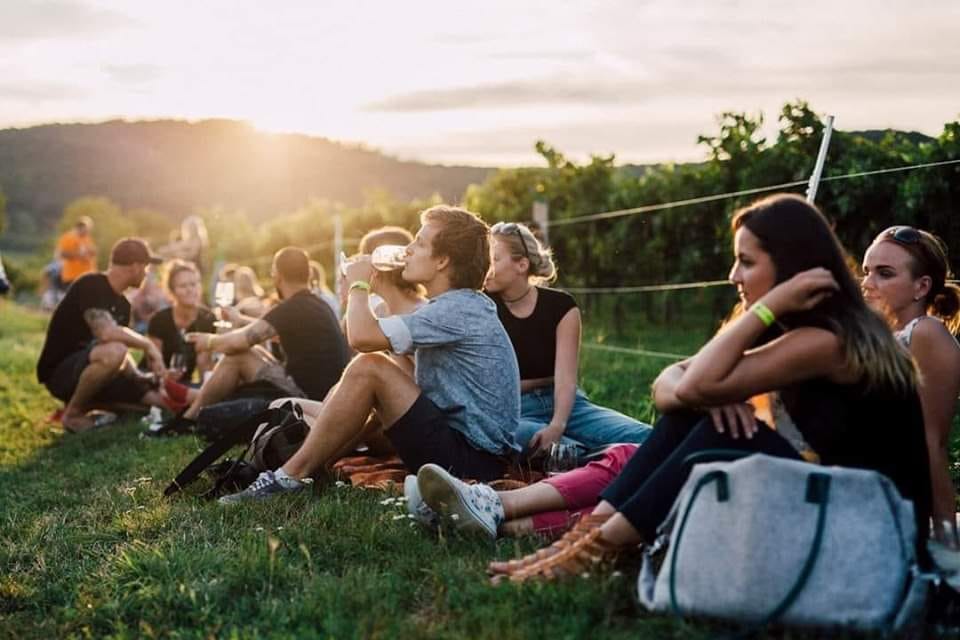 Piknik vo vinohradoch Star Hora 2020