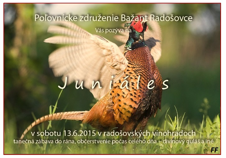 Juniles v radoovskch vinohradoch Radoovce 2015
