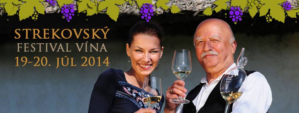 Strekovsk festival vna 2014 - VII. ronk