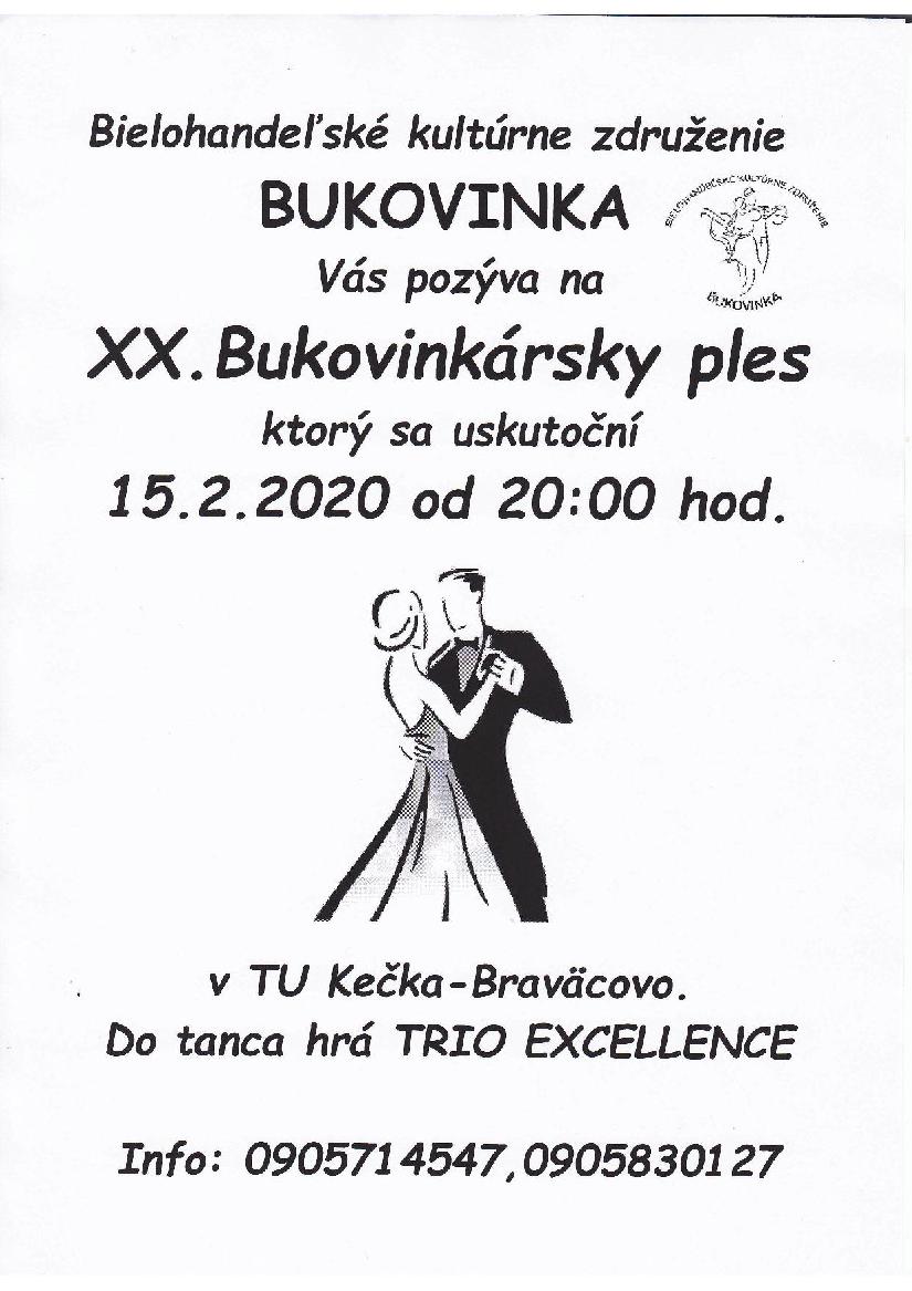 Bukovinkársky ples 2020 Braväcovo - XX. ročník