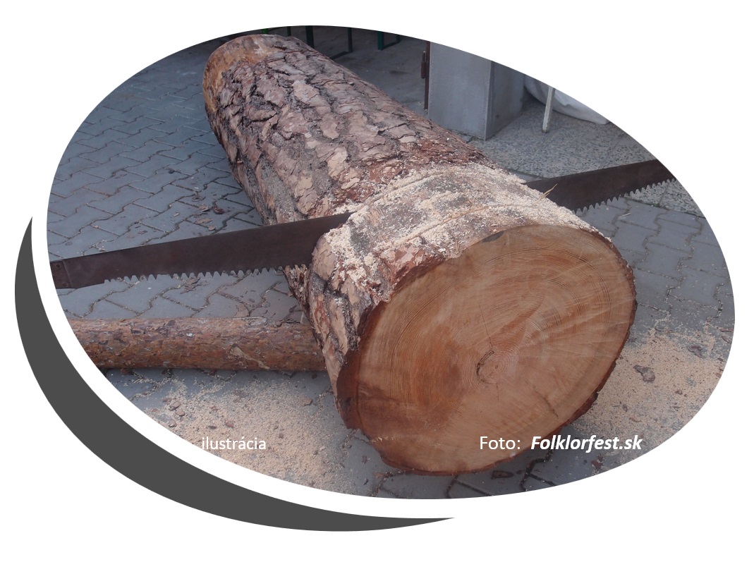 Liptovsk drevoruba Liptovsk Osada 2020 - VI. ronk drevorubaskej sae zrunosti