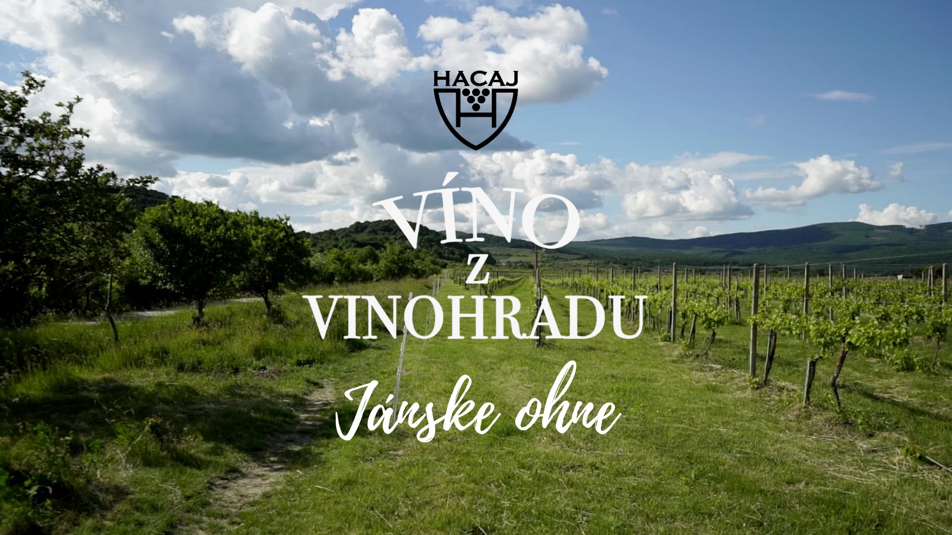 NOVÉ - - - Víno z vinohradu - Jánske ohne Pezinok 2020 a súťaž v pečení ríbezľových koláčov