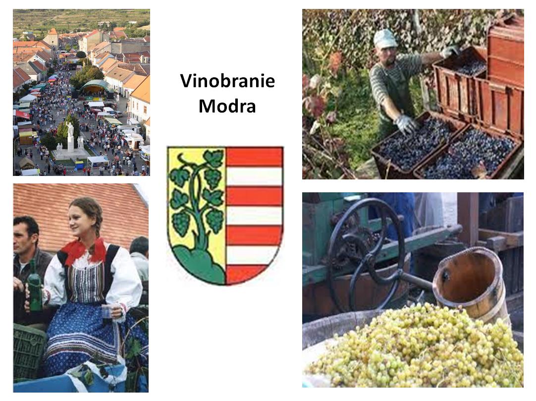 Malokarpatsk vinobranie v Modre 2013