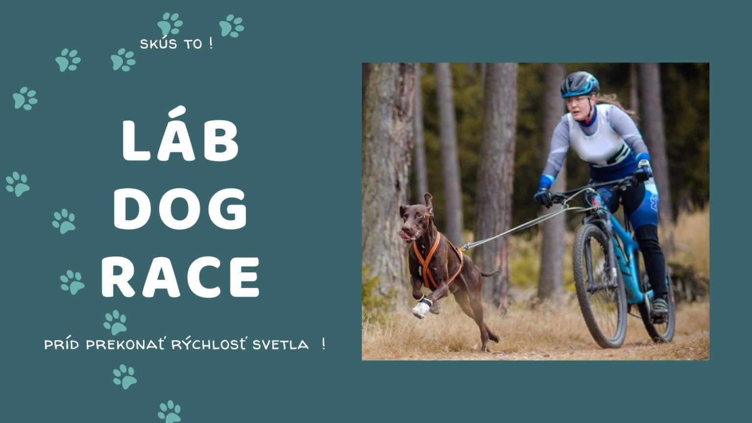 Láb Dog Race 2022 - preteky psích záprahov