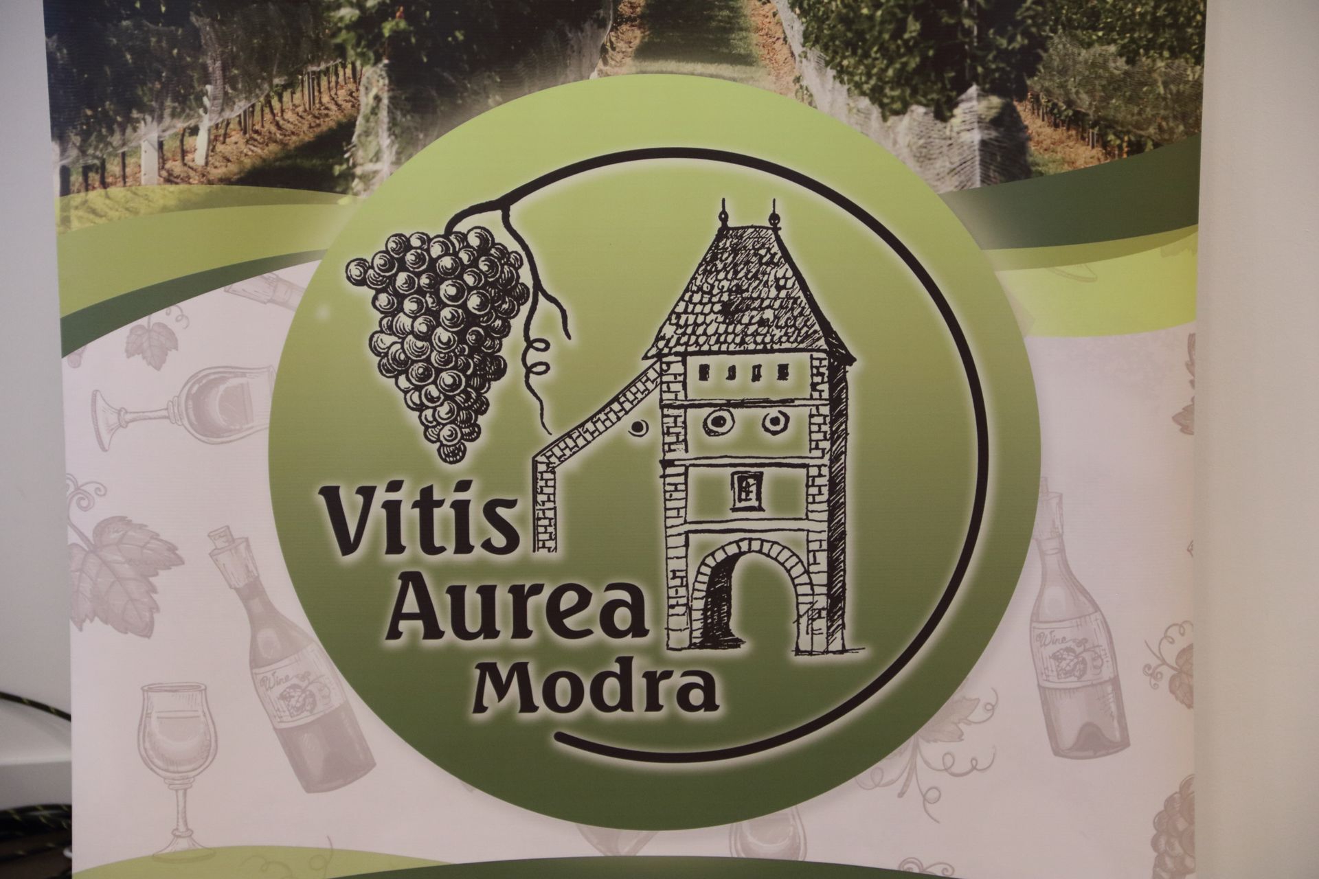 Vitis Aurea Modra 2023 - 22. ročník medzinárodnej výstavy a ochutnávky vín