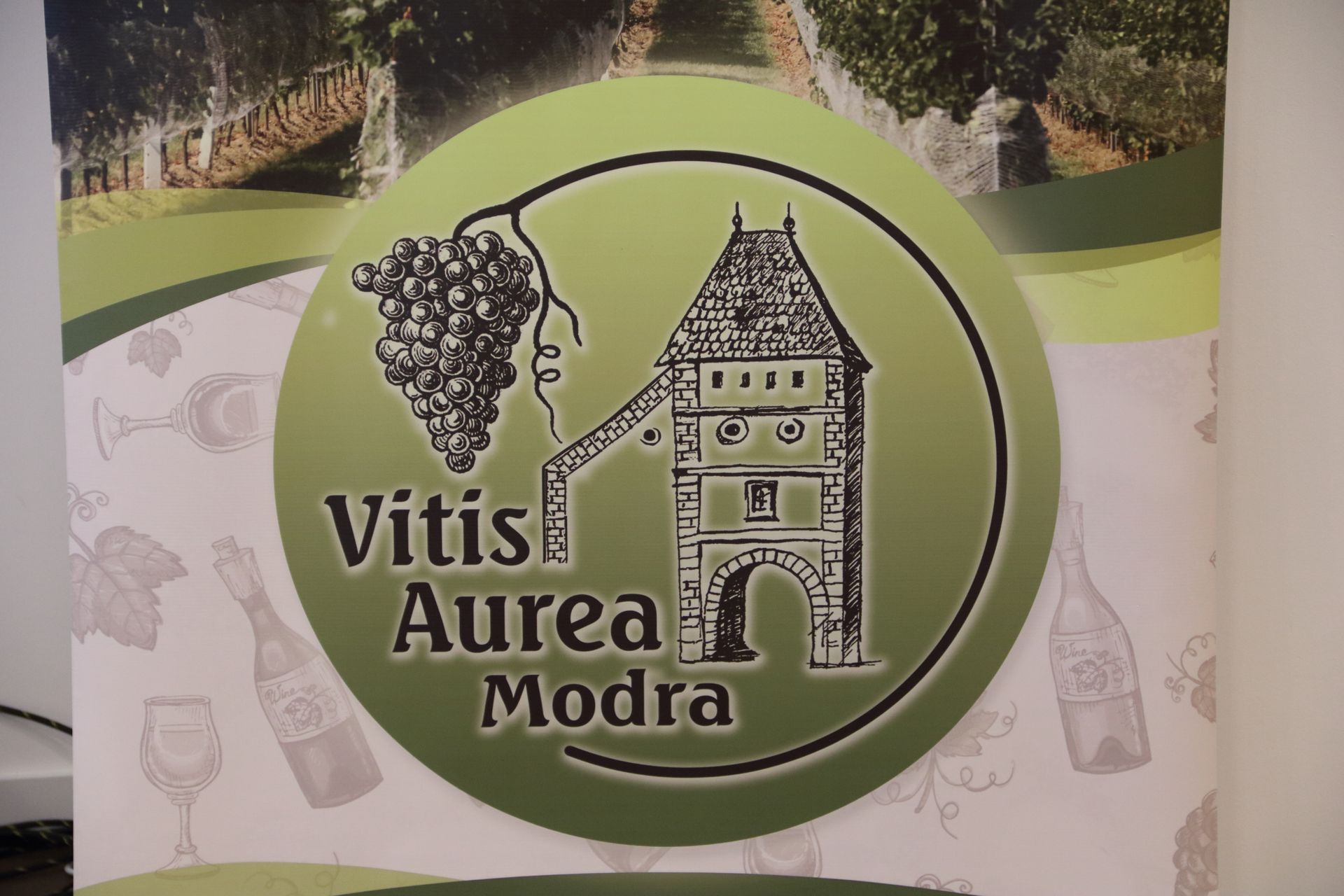 Vitis Aurea Modra 2023 - 22. ronk medzinrodnej vstavy a ochutnvky vn