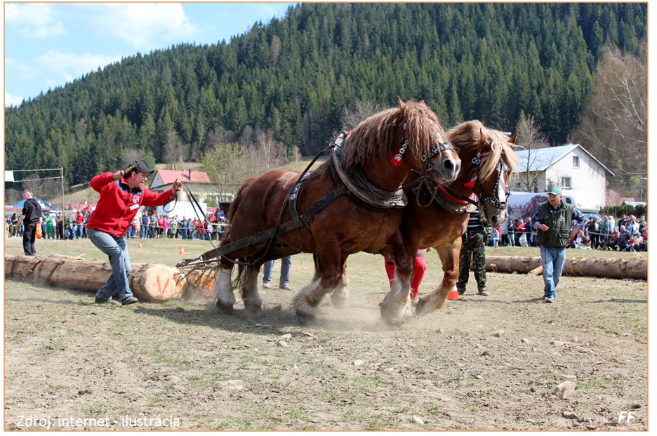 II. Furmansk preteky Martinek 2016