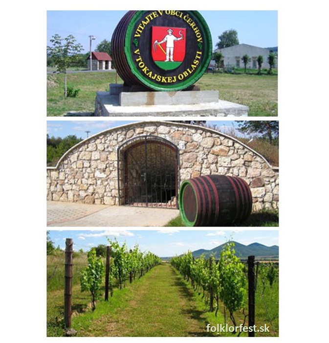 Tokajsk vinobranie erhov 2015 - 14. ronk