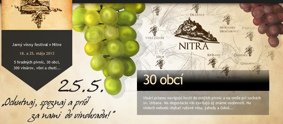 Jarný vínny festival v Nitre 2013 - 1. ročník