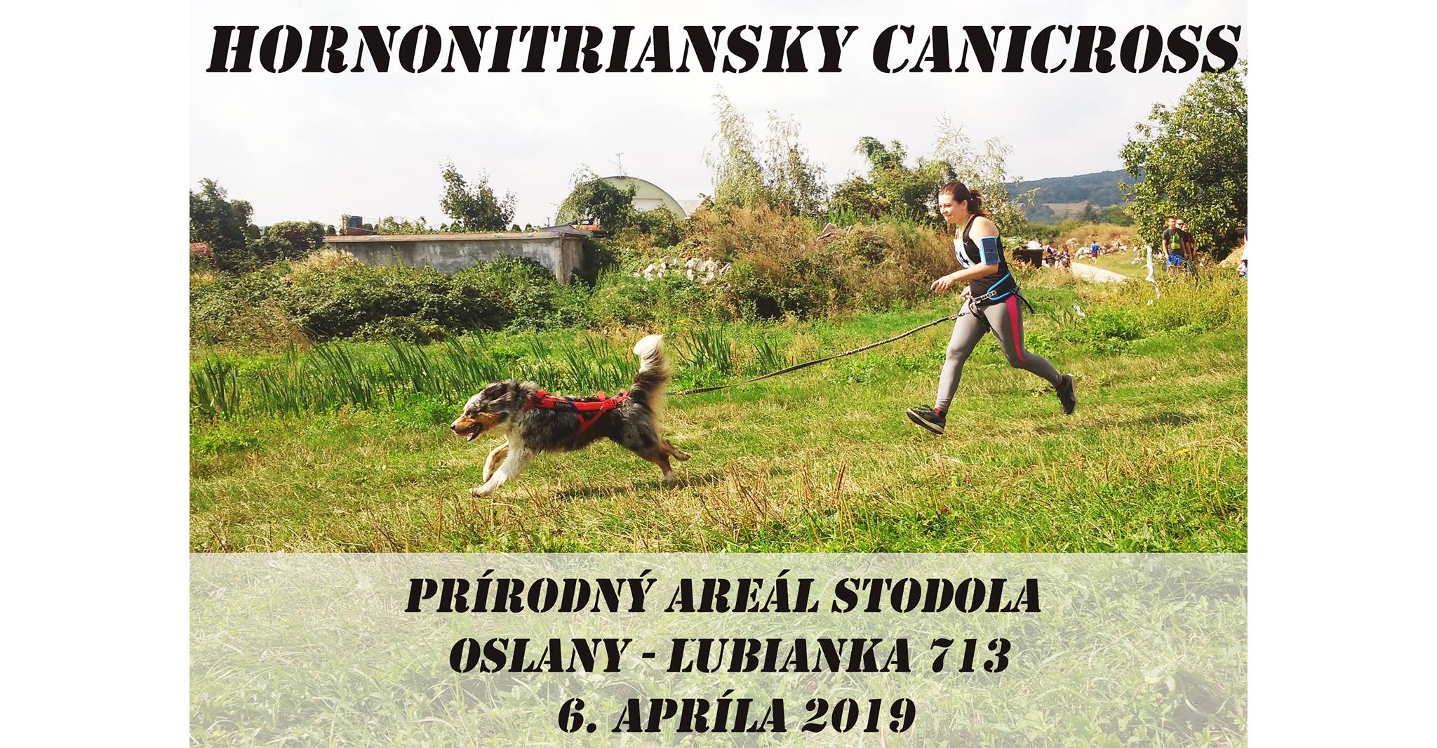 Hornonitriansky canicross Oslany 2019